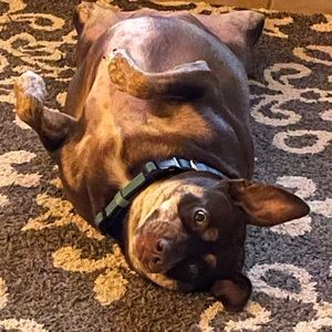 Meet your Posher, Richard